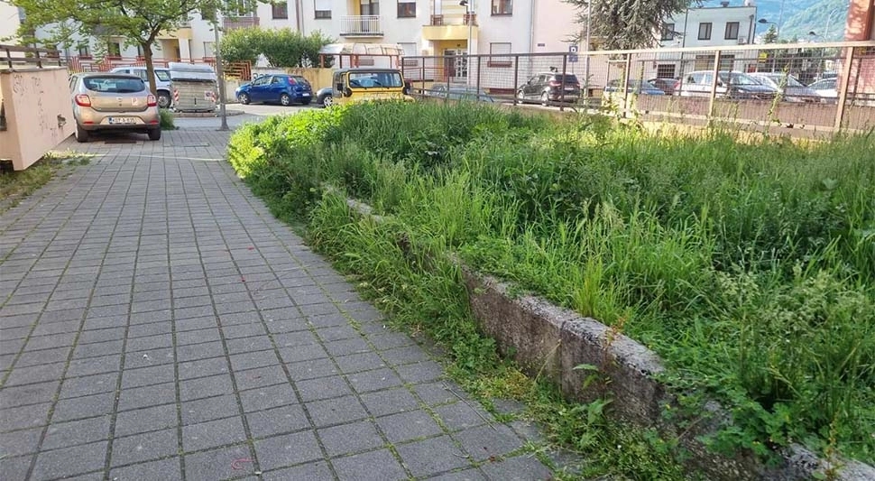 Dijelovi Banjaluke zarasli u travu