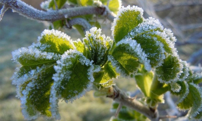 Dolazi zahlađenje, pogledajte prognozu za naredne dane