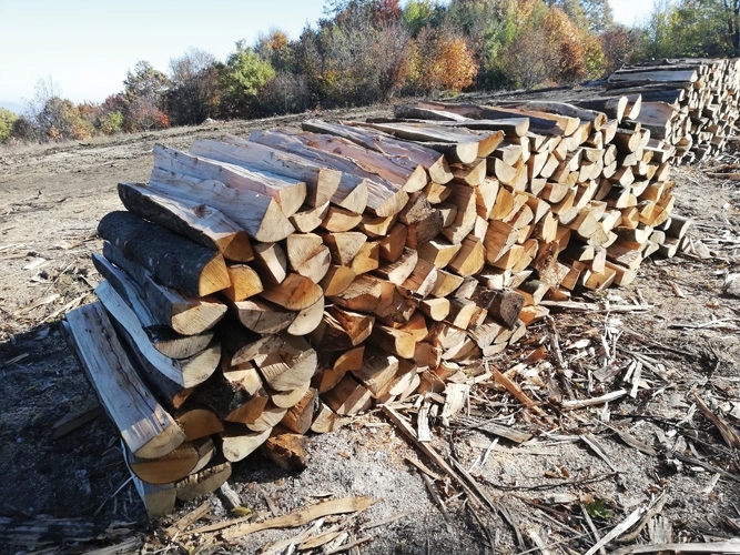 Građani se plaše poskupljenja drva