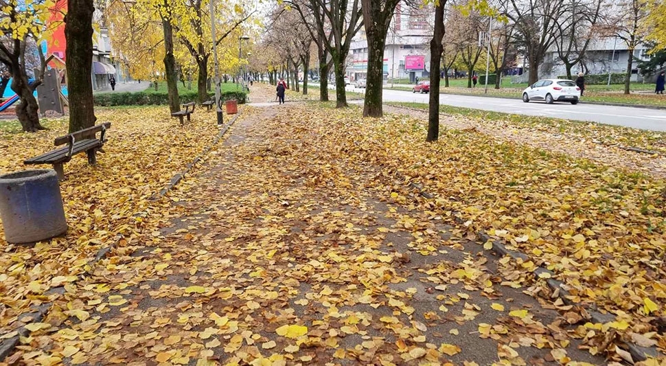 Građani se žale na saobraćaj, cijene i komunalni nered
