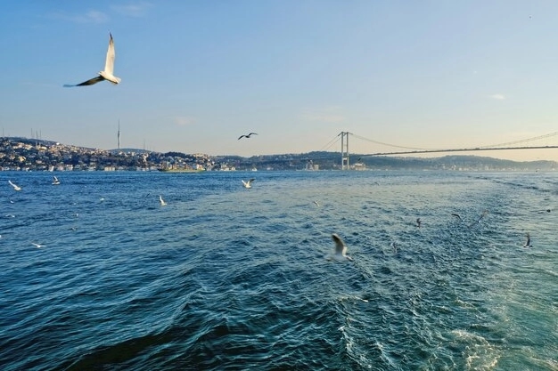 Kijev zatražio od Ankare da zatvori Bosfor i Dardanele