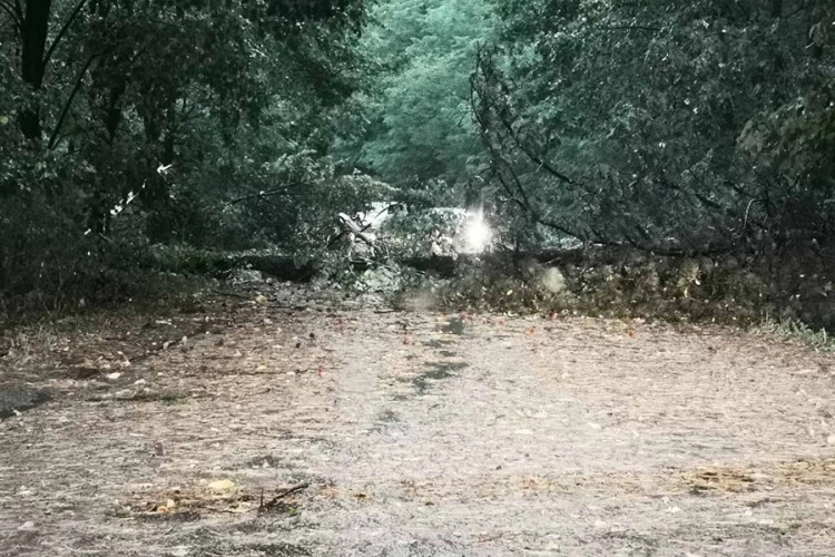 Olujno nevrijeme pogodilo Trebinje, građani prijavljuju štetu