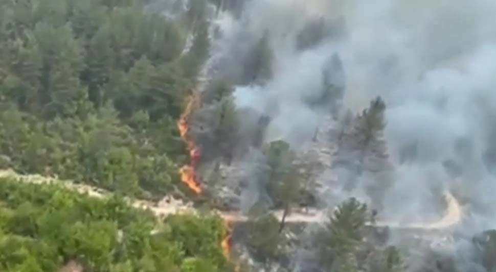 Požar kod Trebinja ugašen