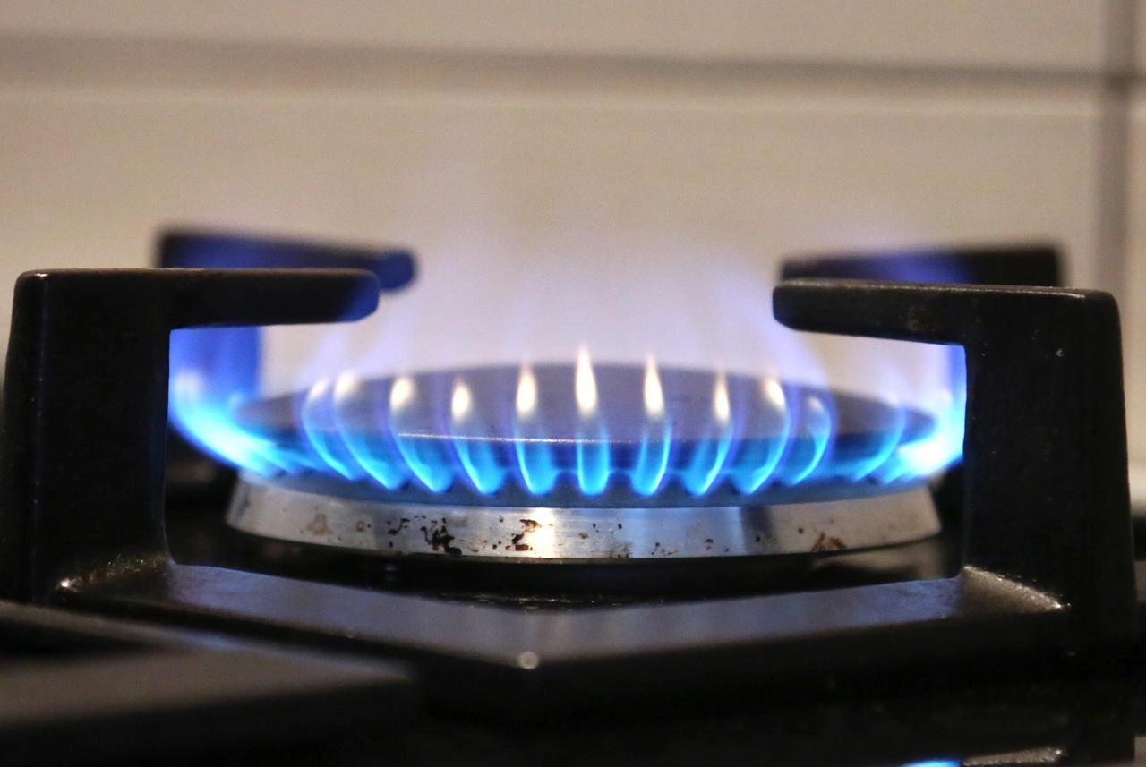 Vlada Srbije ograničila cijenu gasa