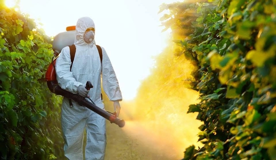 Zaprašivanje na više lokacija u Banjaluci