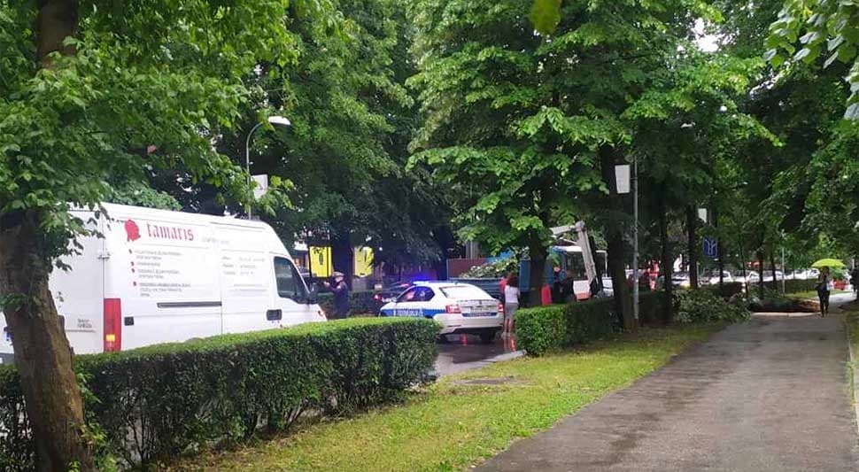 Drvo palo na ulicu u centru Banjaluke