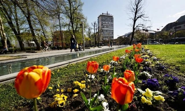 Festival cvijeća od 15. do 17. aprila u Banjaluci
