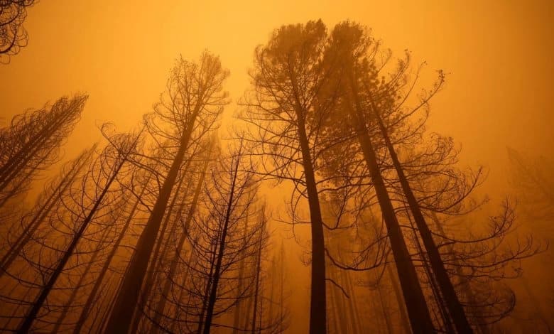 Jul bio najtopliji mjesec u istoriji: “Ovo je uznemiravajuće”