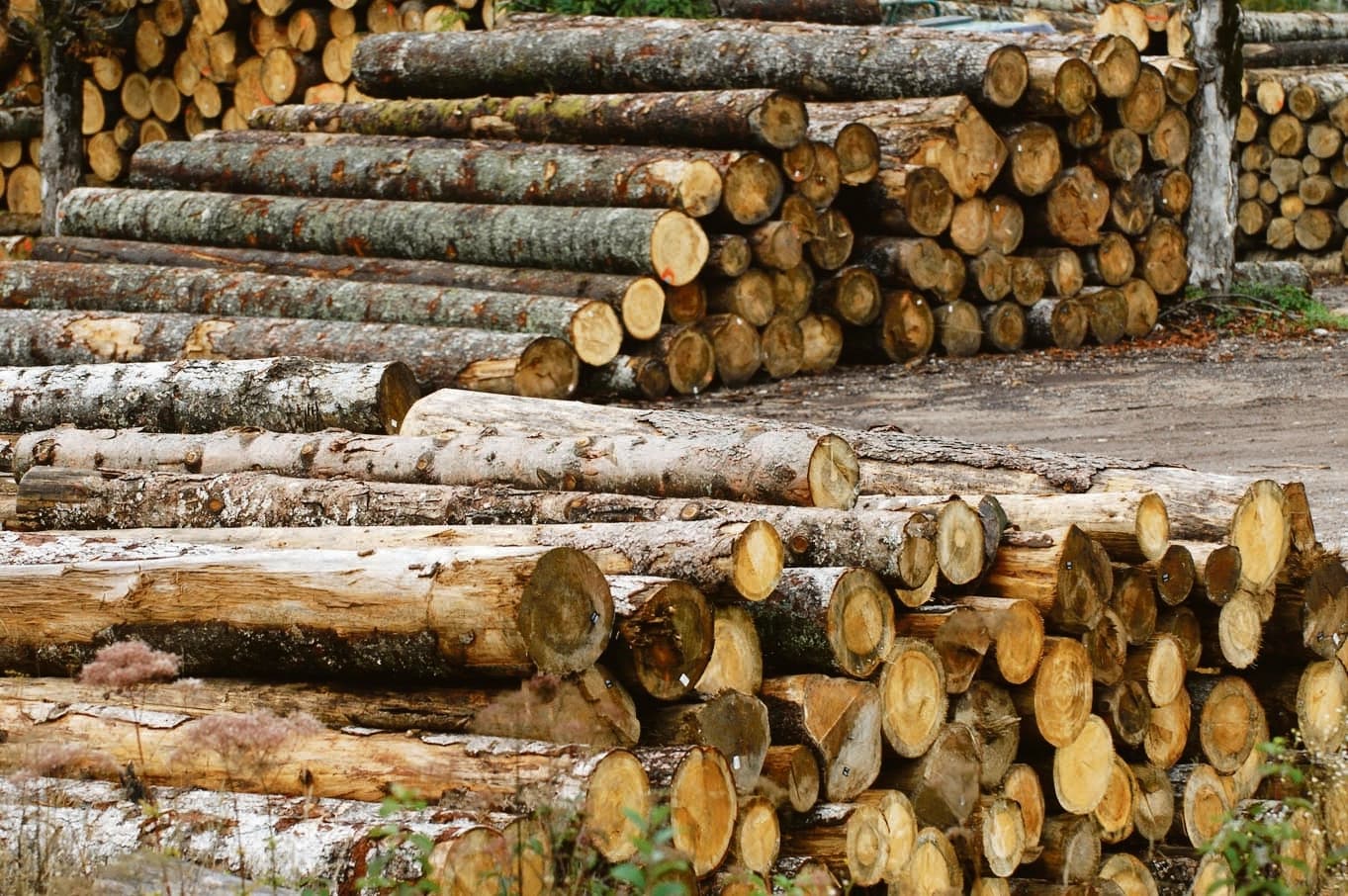 Manja proizvodnja šumskih sortimenata u RS-u, ali je prodaja povećana