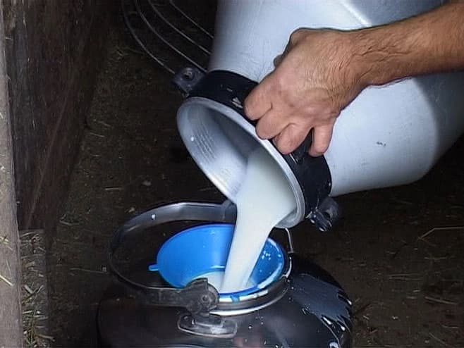 Mlijeko bi uskoro moglo da poskupi