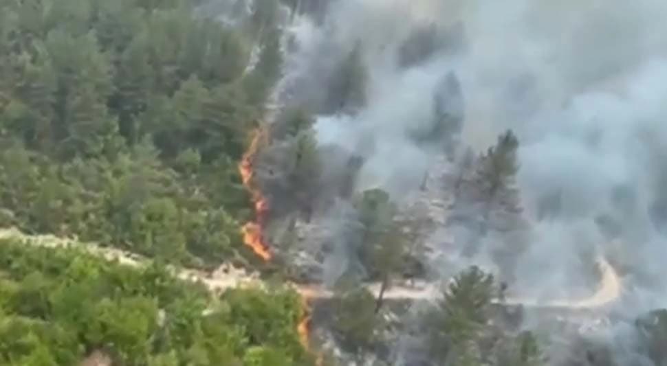 Požar kod Trebinja ugašen