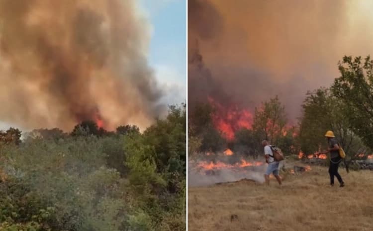 Požar u Neumu gase svim snagama, ugrožene kuće