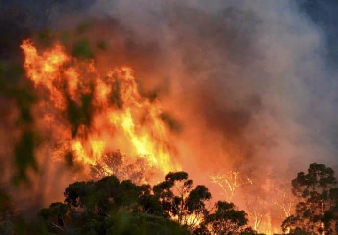 Požari u regionu najveći u posljednjoj deceniji