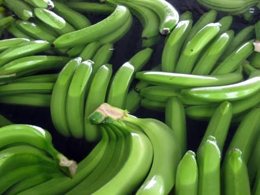 U Republiku Srpsku iz Ekvadora stiglo 19,5 tona banana, sve će biti vraćeno