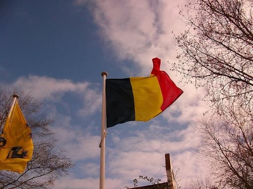 Zbog rezultata izbora za EP pada i vlada Belgije