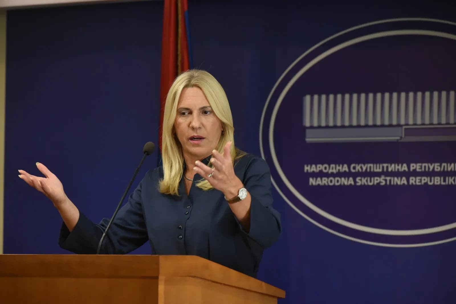 Cvijanoviće: SNSD pobjeđuje na izborima makar ih CIK ponavljao još 50 puta