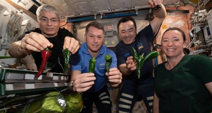 Astronauti se počastili tacosima koje su pravili od ljutih papričica uzgojenih u svemiru