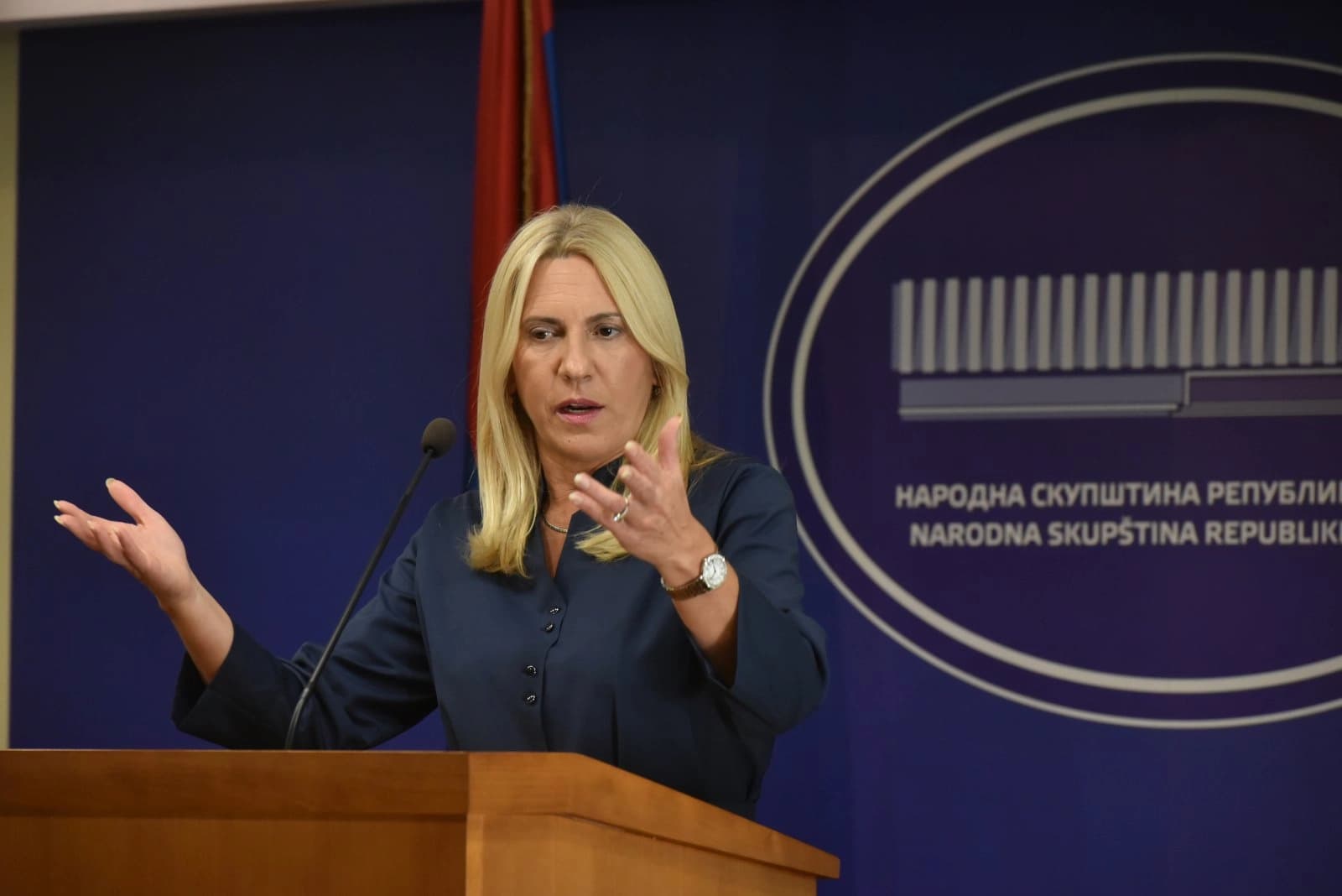 Cvijanović: Radojičić određuje i raspoređuje kandidate opozicije za inokosne funkcije