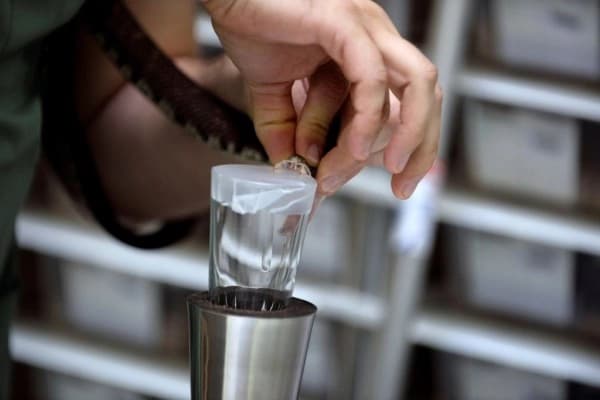 Naučnici od zmijskog otrova napravili ljepilo za ekspresno zaustavljanje krvarenja