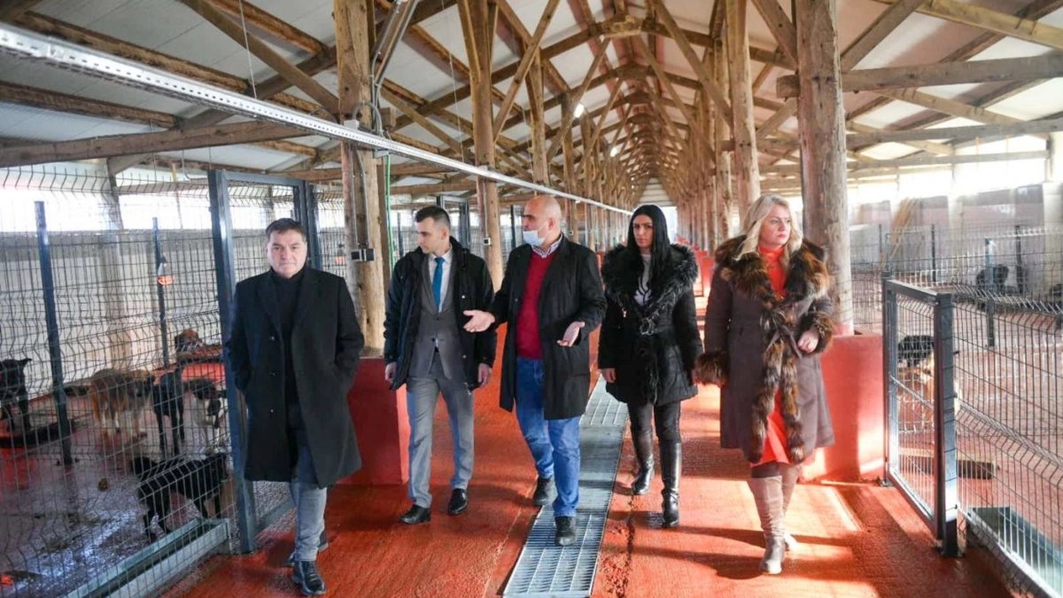 Odbornik opet otvorio pitanje azila: Udruženja nezadovoljna terminom Dana otvorenih vrata