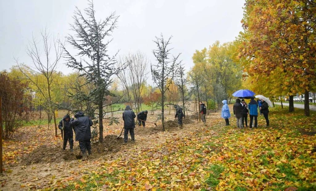 Počela jesenja sadnja u Banjaluci: Zasađena prva stabla u novom gradskom parku