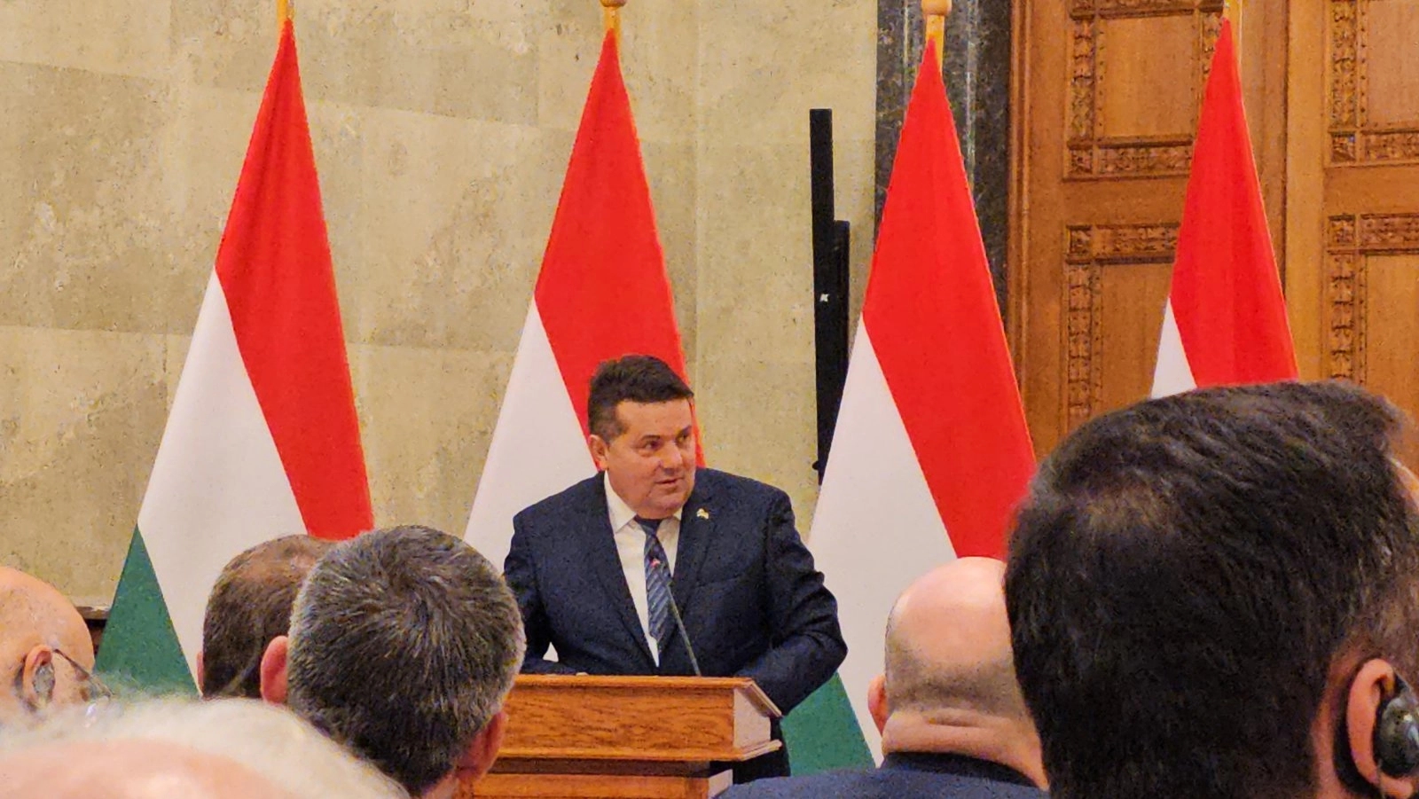 Stevandić: Borimo se da zakone donose parlamenti, a ne samozvani predstavnici koji nemaju legitimitet