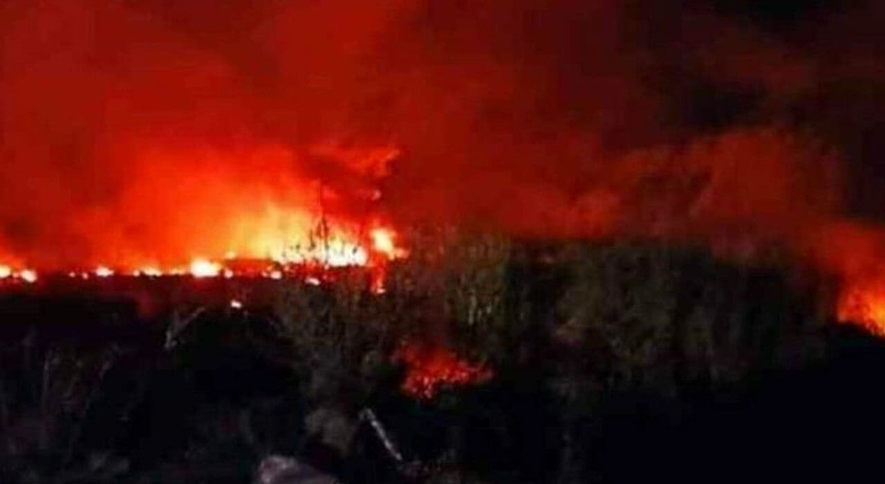 U Grčkoj se srušio avion koji je poletio iz Srbije, mediji: Prevozio opasne materije