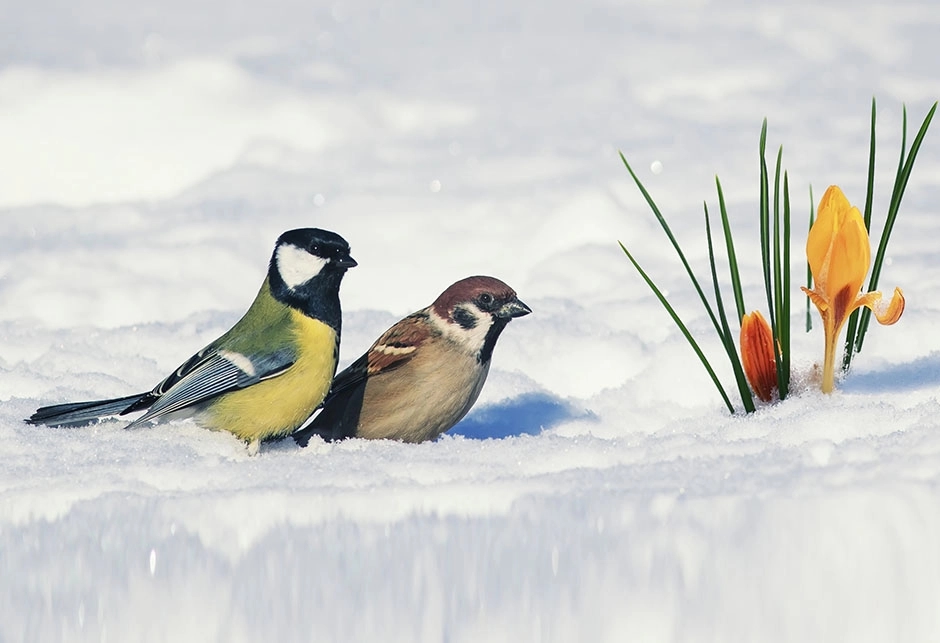 U Srpsku stiže promjena vremena, najavljeni snijeg i poplave